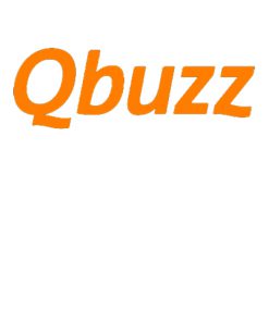 QBuzz Dagkaart